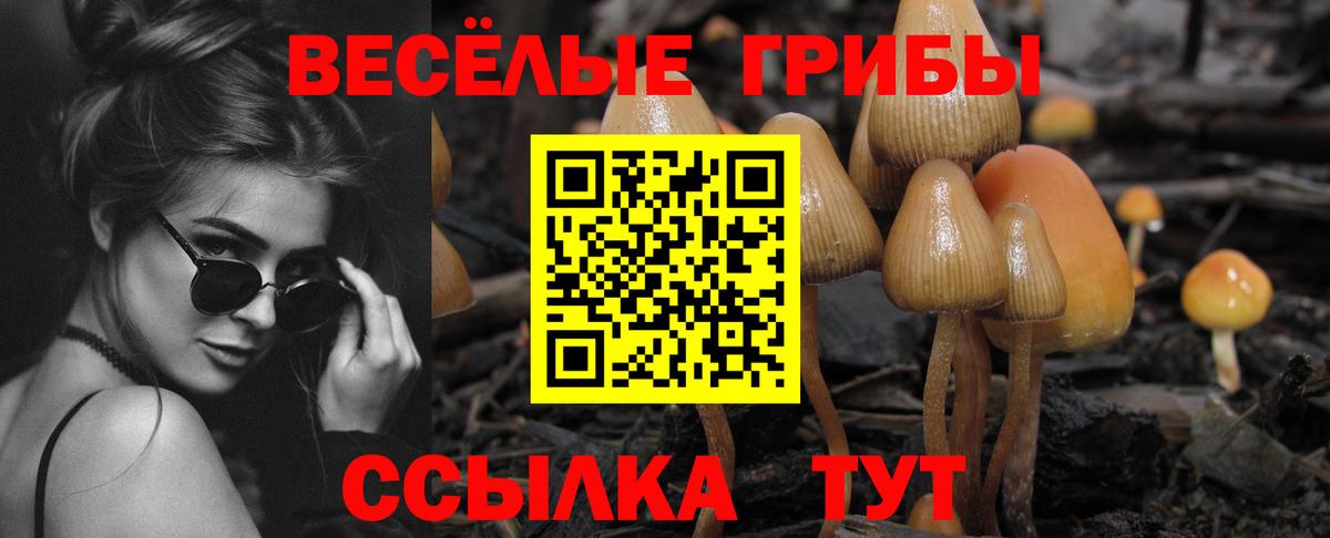 Псилоцибиновые грибы мухоморы  Вход с VPN  Галлюциногенные грибы Cubensis  Черногорск 